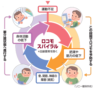 ロコモティブシンドローム