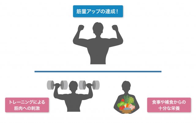 運動療法（リハビリ）と栄養管理