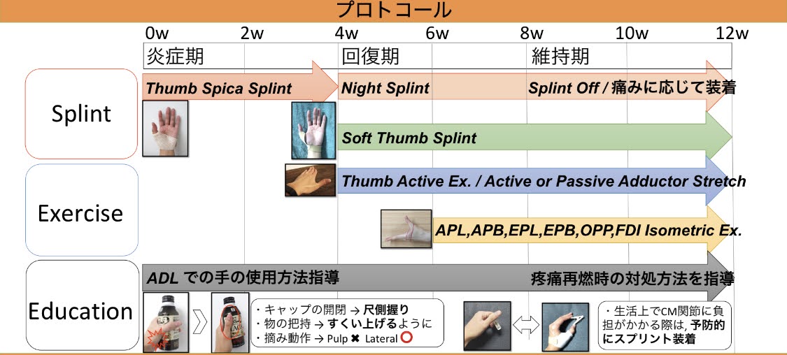 例)母指CM関節症プロトコール